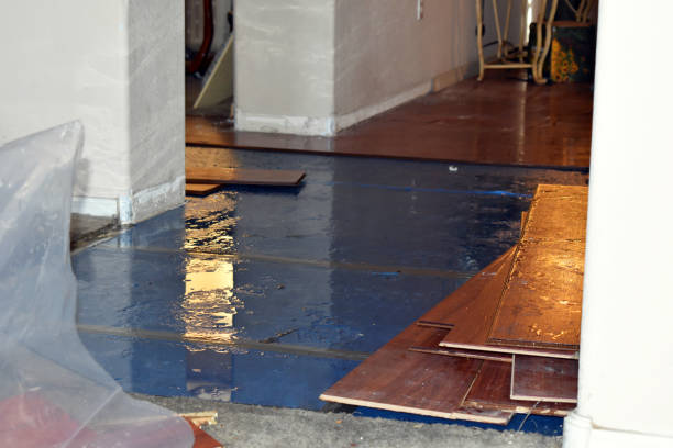 Professional Sewage Cleanup technician working in Harper Woods, MI